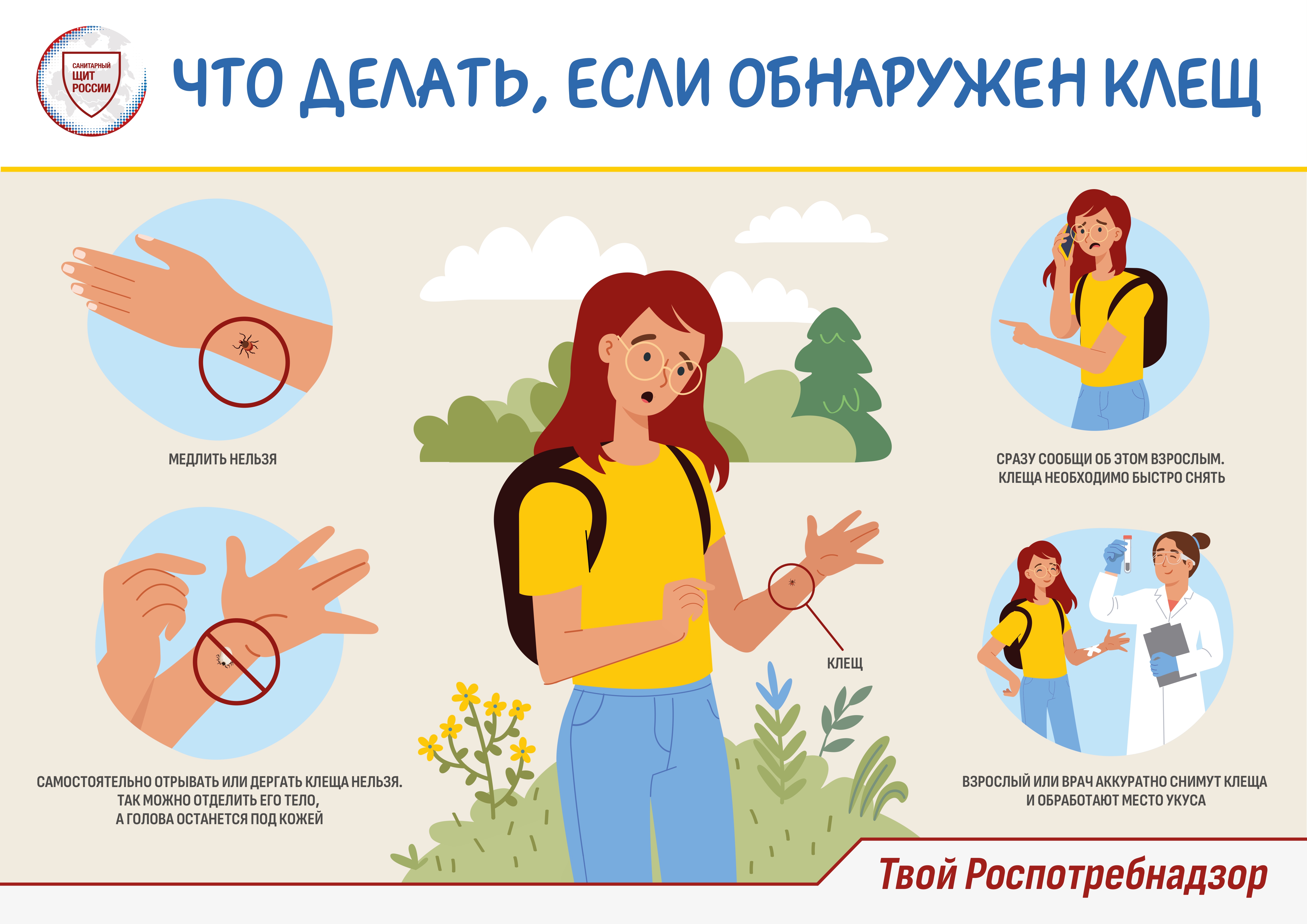 Что делать, если обнаружен клещ